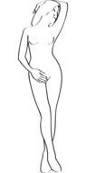 drawing of a naked woman