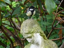 photo of the stone figure and parus major bird