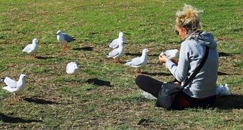 woman feeding seagulls