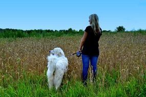 woman with white dog