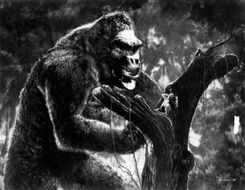 king kong giant drawing