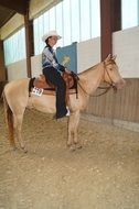 cowgirl on a horse