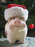 piggy bank in Winter Hat