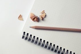 notebook, pencil and shavings