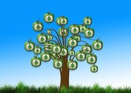 painted tree with dollar fruits as an illustration