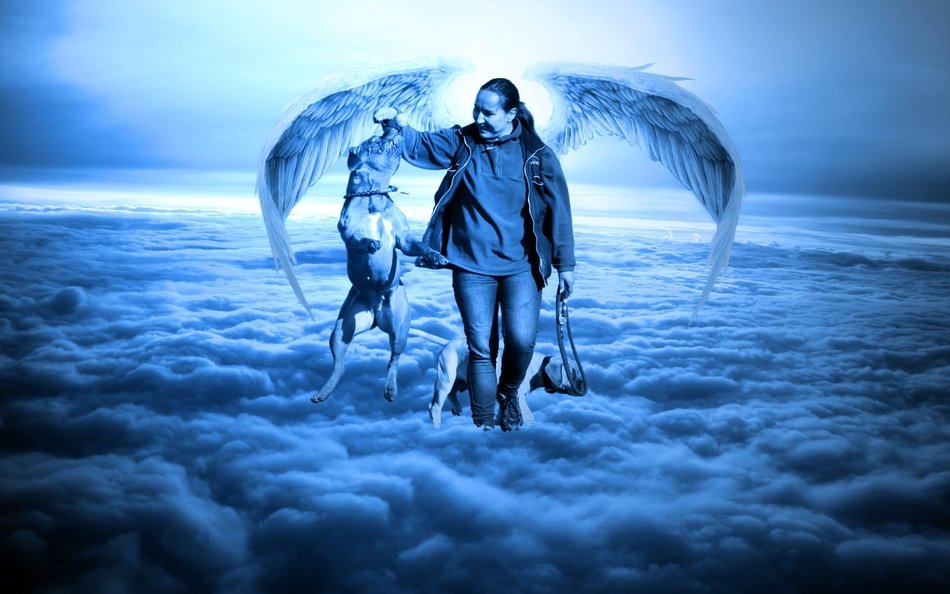 woman with a dog in the clouds