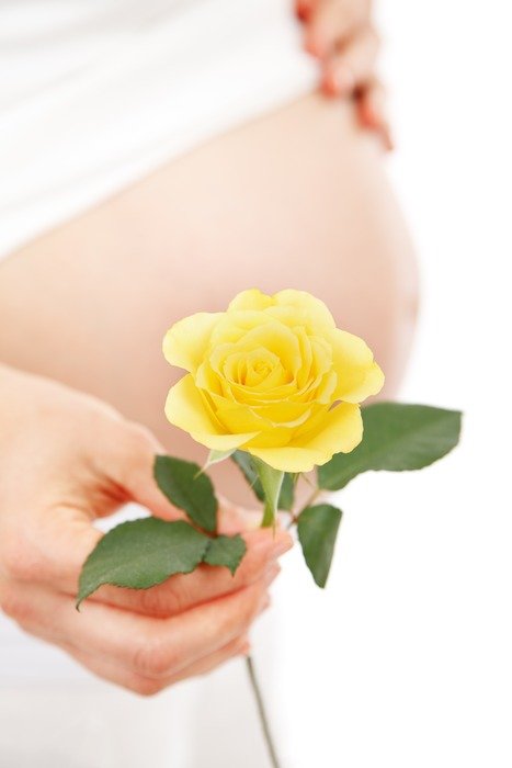 pregnant belly and yellow rose