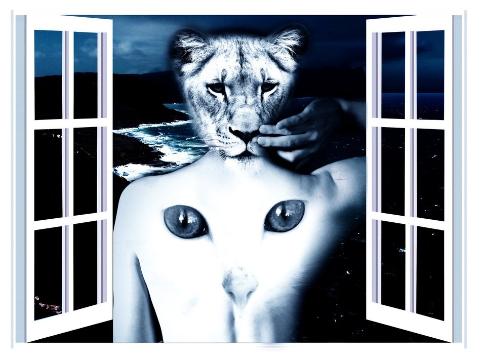animal pictures on human body