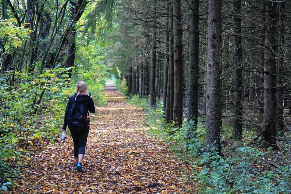 back view of the girl walking in the autumn forest