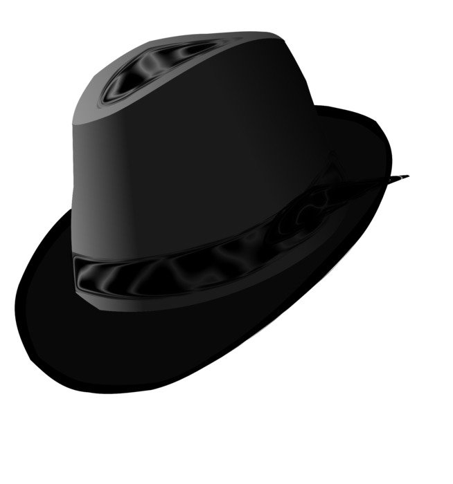 stylish black man hat