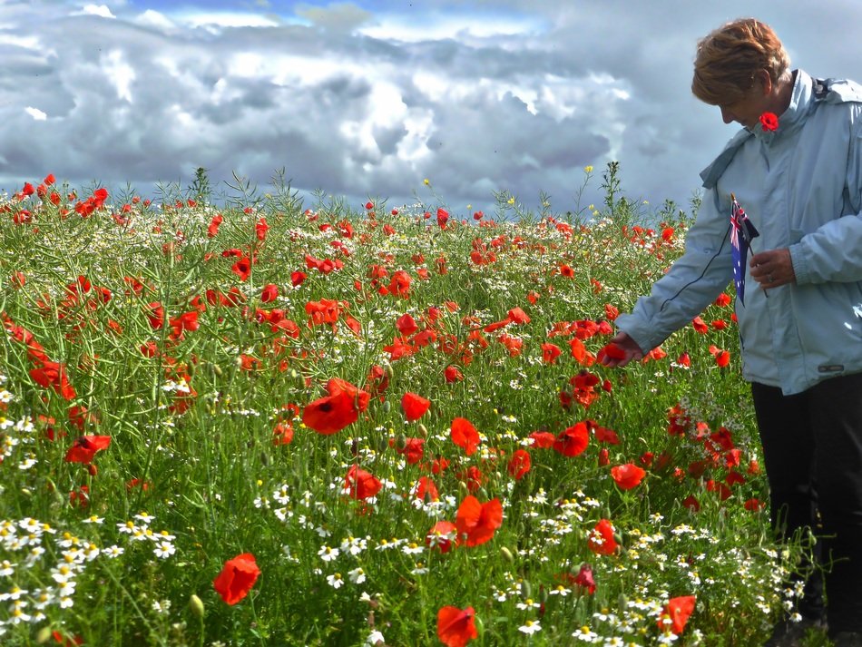 woman among red poppies on a summer meadow