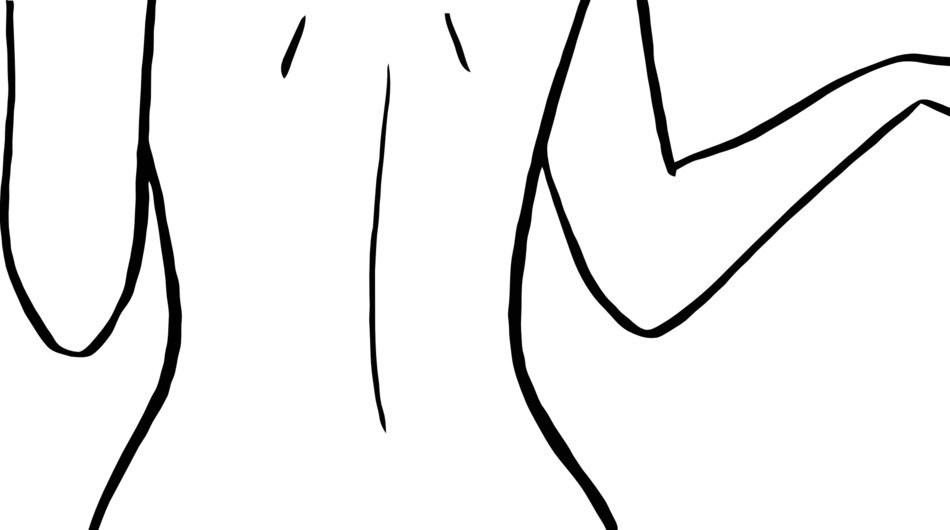 drawing of the female back