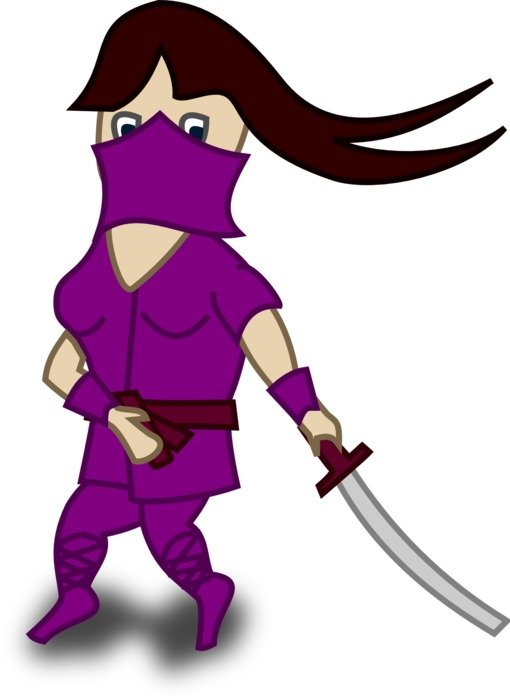 Picture of ninja woman