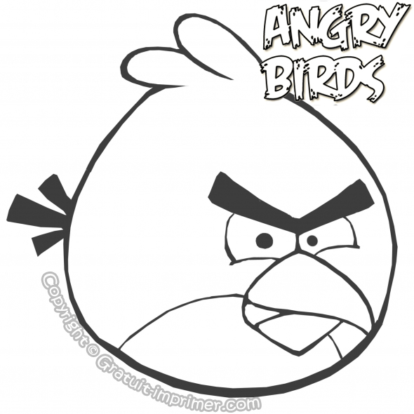 Coloriage Angry Birds Gratuit Agrave Imprimer Pour Enfant D