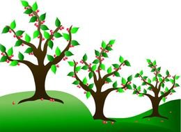 August Clip Art Tree