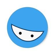 Cartoon Ninja Face N2