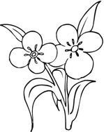 Flower Coloring Pages N6