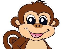 drawing of a funny monkey on a transparent background