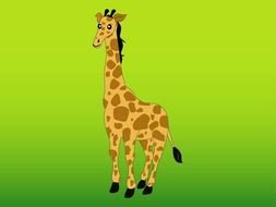 Ä°llustration of Giraffe