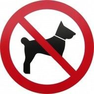 No Dogs Allowed Signs N8