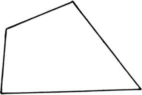 drawing Quadrilateral Shape