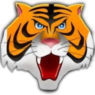 Tiger Head Clip Art N12