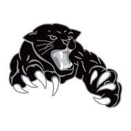 Panthers