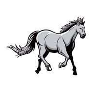 Horses amp Mustangs