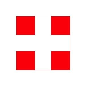 Swiss Flag Logo