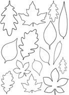 Leaf Template N3