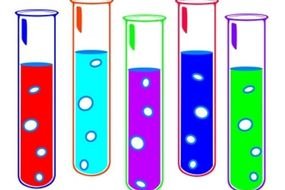 7th Grade Science Fair Projects