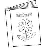 Coloring Book Pages N3