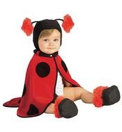 Cute baby in the colorful ladybug costume