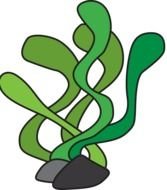 Underwater green flower drawing