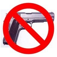 No Guns Allowed Sign N3