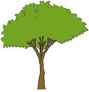 drawing of a tree with green leaves on a white background