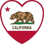 California Flag bear drawing