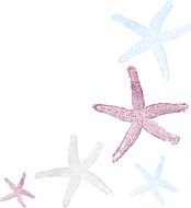 Starfish Clip Art N35