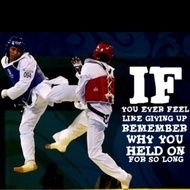 Tae Kwon Do N3