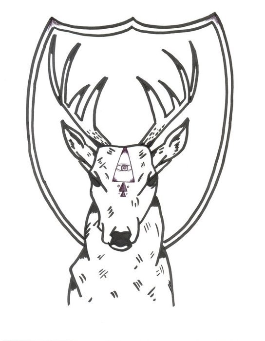 Deer Head Drawings