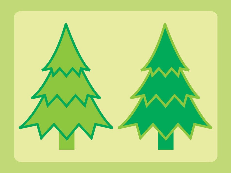 two fir trees in frame, drawing