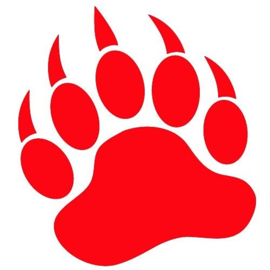 Bear Paw Print Logo N3