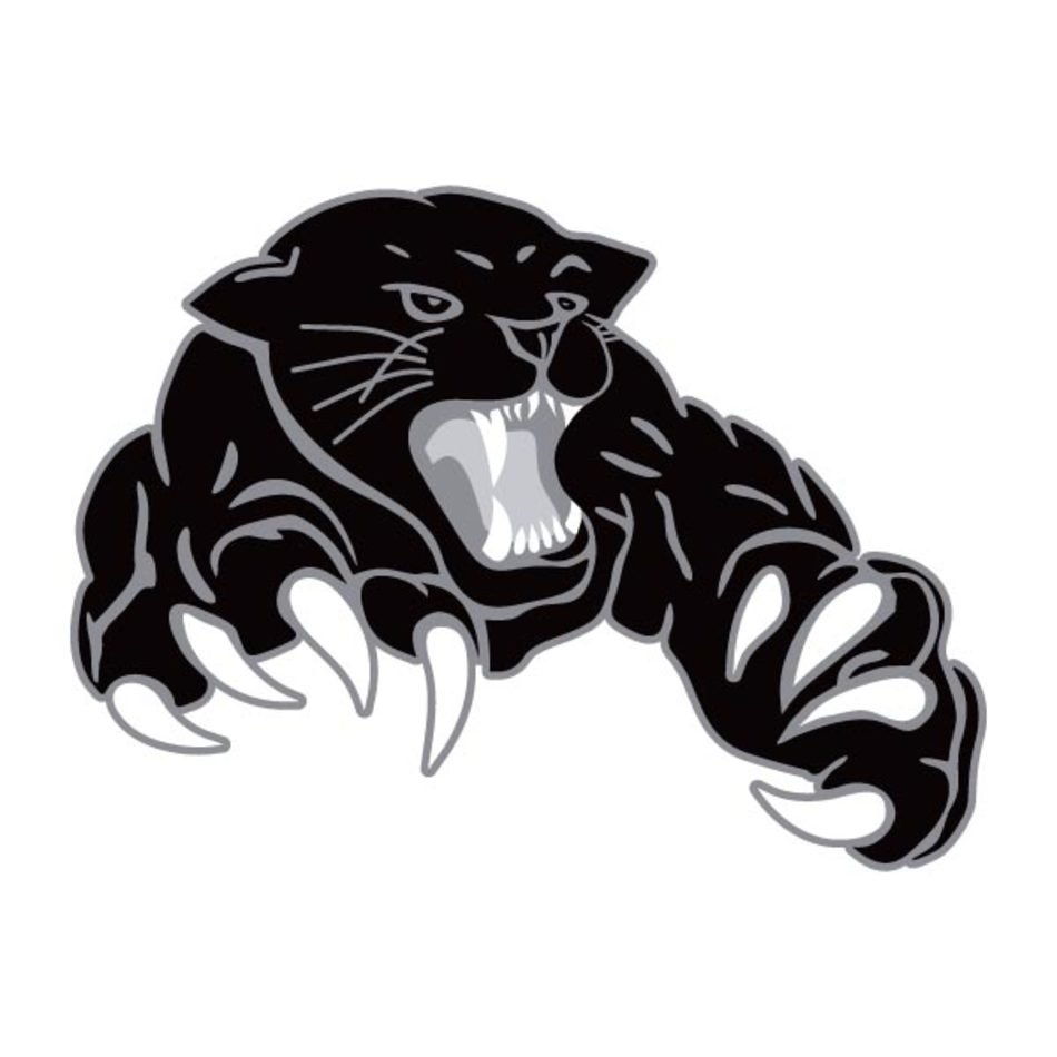 Panthers