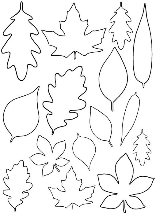 Leaf Template N3