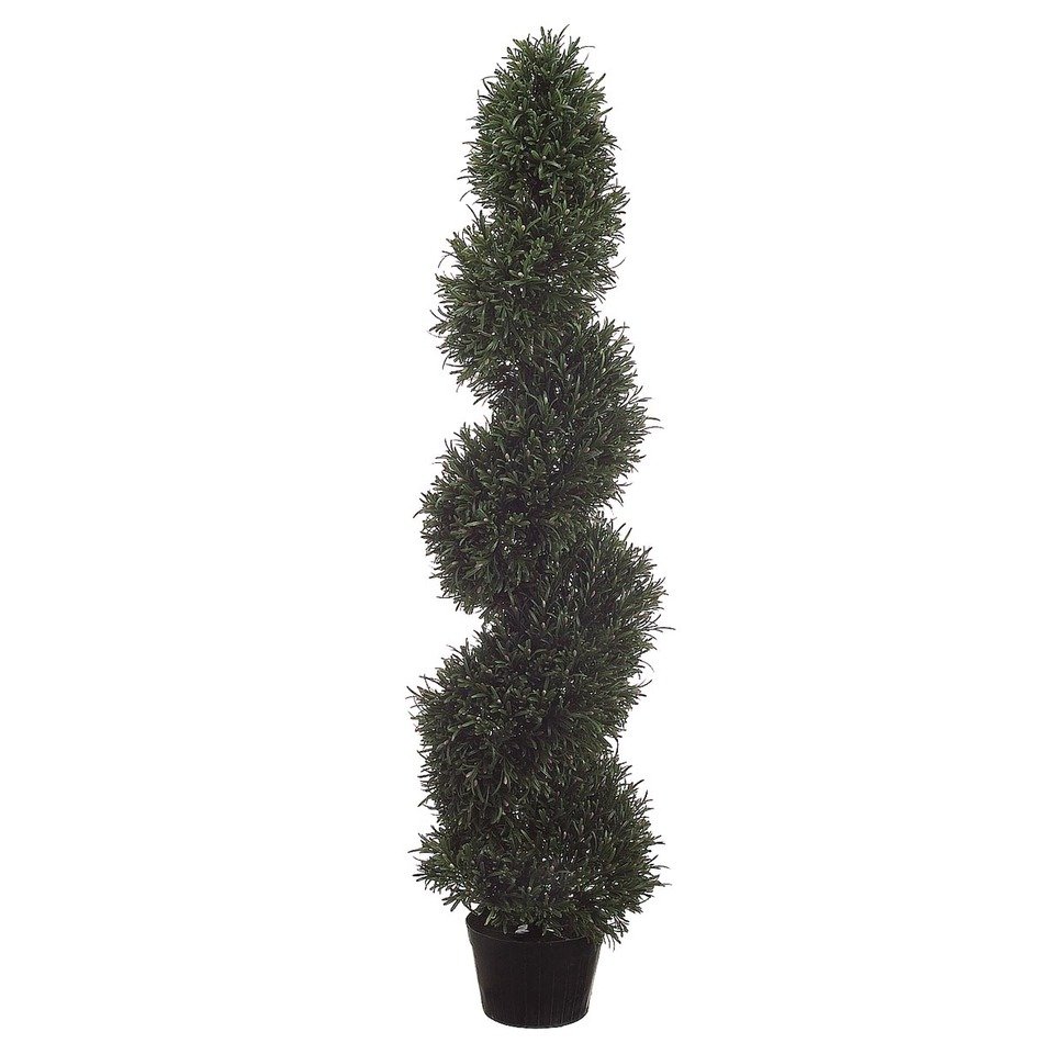 İllustration of Spiral Potted plant