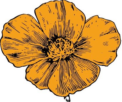 California Poppy Clip Art N3