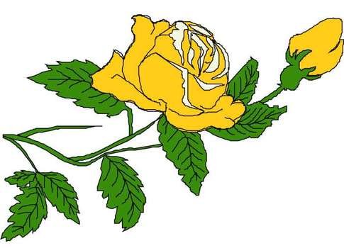 Single Yellow Rose Clip Art N4