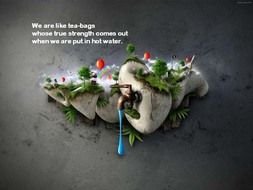 Beautiful Quotes And Sayings