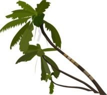 Vector Palm Tree Clip Art N3