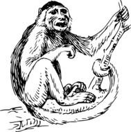 Black And White Monkey Clip Art N7